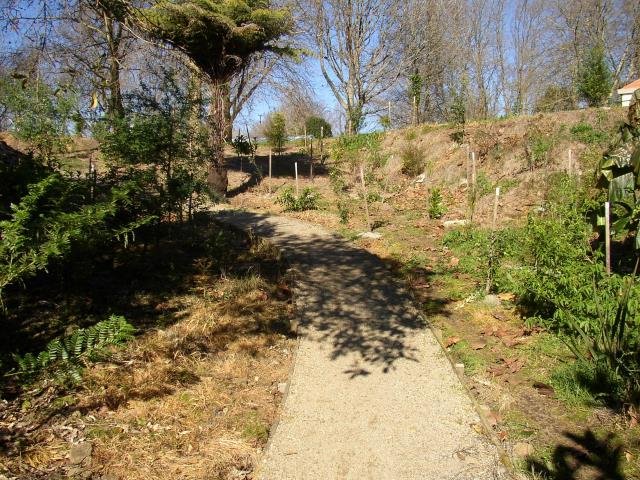 Coming up to Lumb Park. July 2004. Cambridge Tree Trust